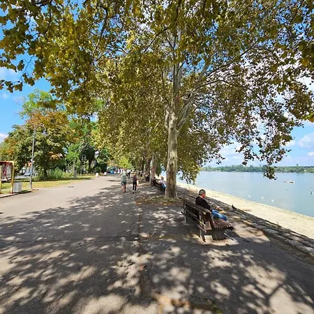 Alone 1 דירה בלגרד